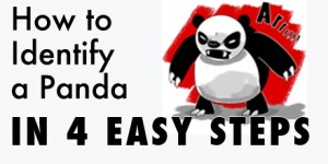 How to Identify a Panda
