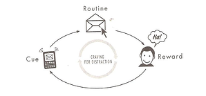 the habit loop